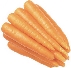 Photograph of carrot roots