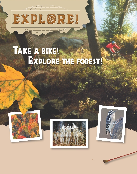 You can look at the beautiful leaves.